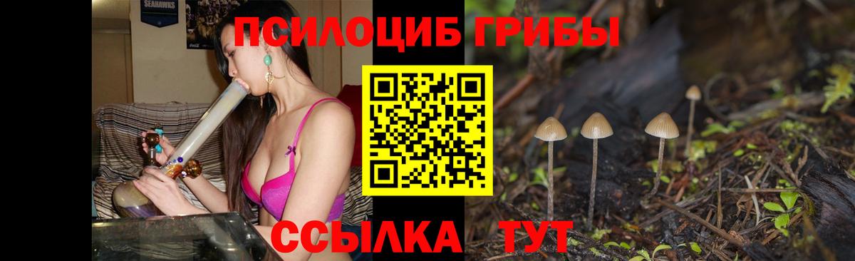 Солнечногорск  Псилоцибиновые грибы MAGIC MUSHROOMS  Вход с VPN  Галлюциногенные грибы мухоморы 
